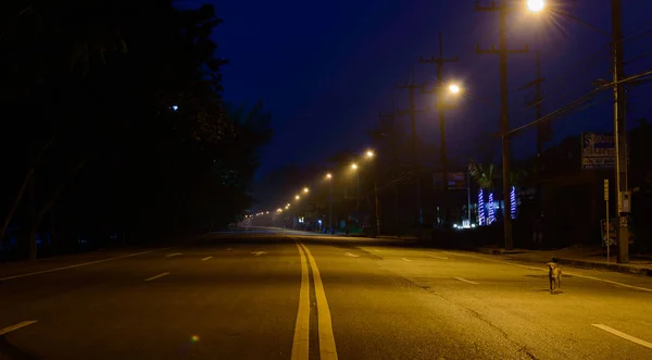 Calle vacía a primera hora de la mañana antes del amanecer envuelta en niebla iluminada por las calles luces —  Fotos de Stock