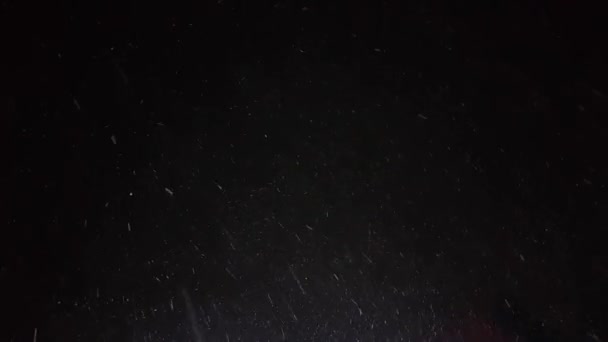 Fallende Realistische Natürliche Schneeflocken Mit Wind Auf Schwarzem Hintergrund — Stockvideo