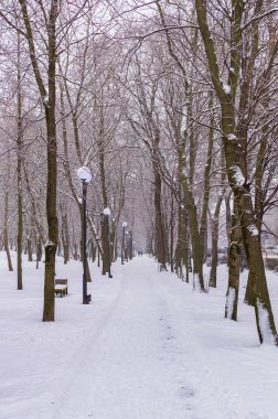 Sokağa Park, beyaz kar, kış, soğuk ağaçların