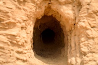 Desert black hole animal snake lair borrow pit sand sink rodent dirt clipart