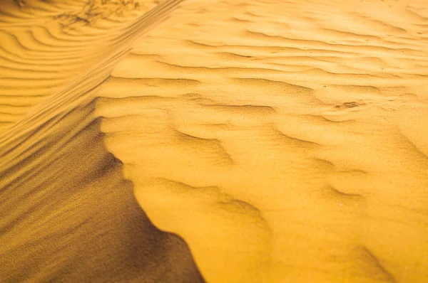 Sanddüne in der Wüste — Stockfoto