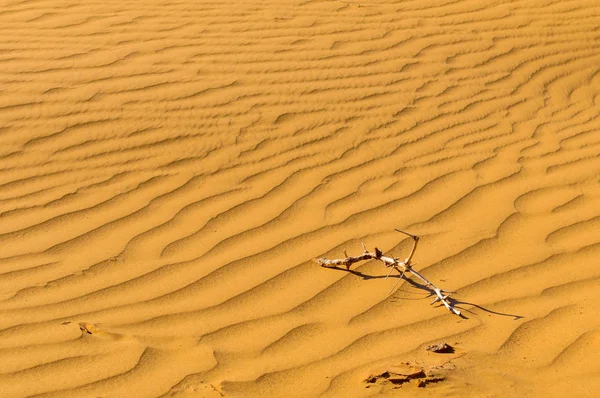 건조와 모래 사막 배경 — 스톡 사진