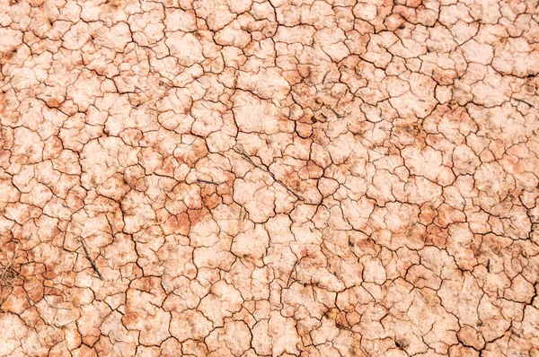 Terreno agrietado, Fondo del terremoto, Textura — Foto de Stock