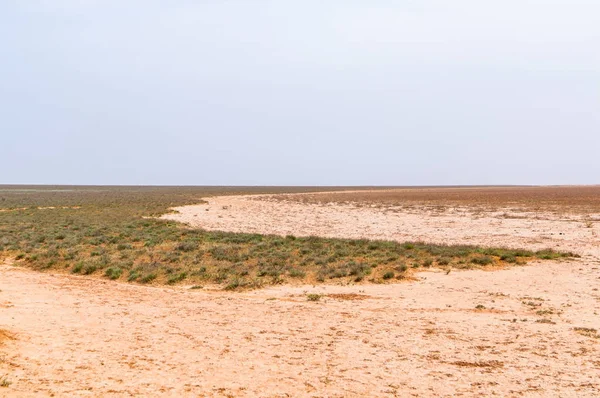 Lecho del lago se seca debido a la sequía — Foto de Stock