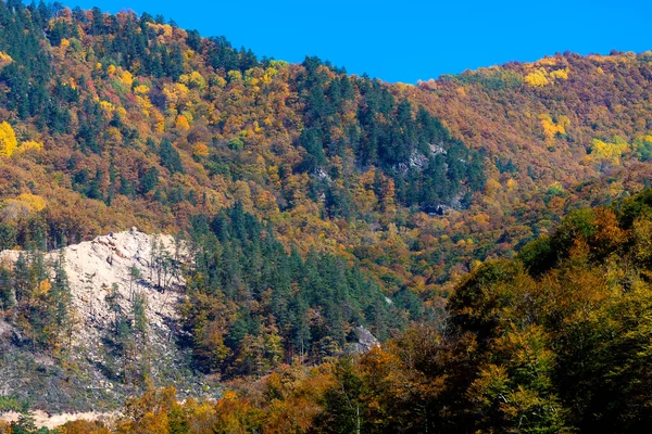 Гірський Осінній Пейзаж Барвистим Лісом — стокове фото