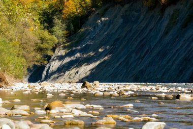 Dağ nehri ve ormanla sonbahar manzarası. Rusya, Kafkasya, Adygea
