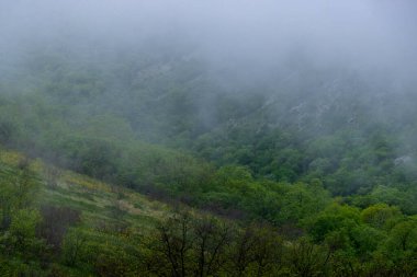 Sisli arazideki güzel sis dağlarının görkemli manzarası. Dramatik sıradışı sahne. Seyahat geçmişi. Güzellik dünyasını keşfetmek.