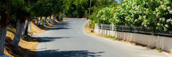 Asfalt Landelijke Weg Klein Dorp Bloemen Aan Een Kant Van — Stockfoto