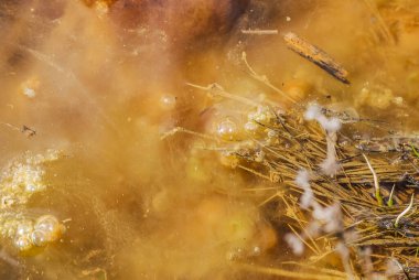 Bir bataklıktaki baloncukların ve balçıkların soyut kaosu.