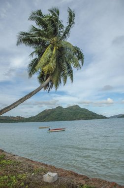 Seyşeller 'deki güzel okyanus manzarası