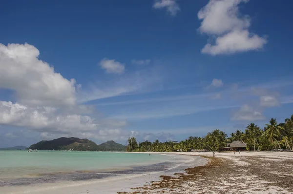 Hermosa Isla Está Las Seychelles — Foto de Stock