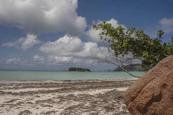Bela Ilha Está Nas Seychelles — Fotografia de Stock