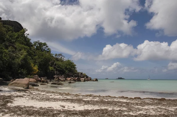 Mooi Eiland Ligt Seychellen — Stockfoto