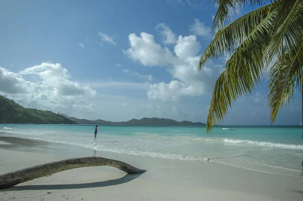 Pláž Ostrově Indickém Oceánu — Stock fotografie