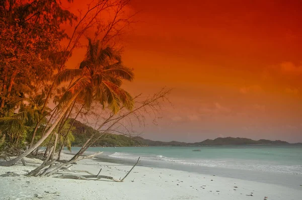 Cielo Naranja Isla Seychelles — Foto de Stock