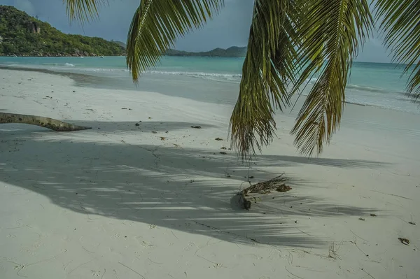 Pláž Ostrově Indickém Oceánu — Stock fotografie