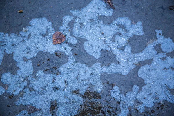 patterns of frozen water in a puddle in the forest