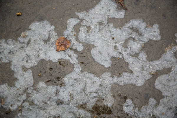 Mönster Fruset Vatten Pöl Skogen — Stockfoto