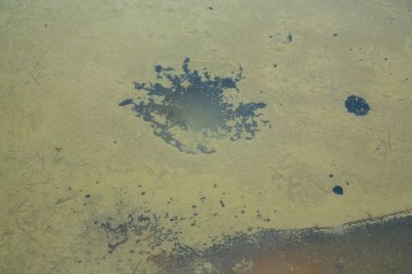 Göldeki doğanın inanılmaz desenleri