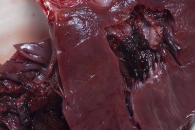 Buzağının kalbinin kıvrımlı çizgileri.