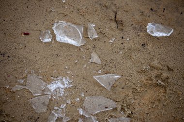 Buz kütleleri donmuş kum üzerinde