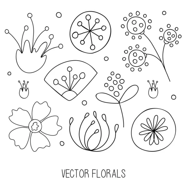 Ensemble Éléments Floraux Illustration Vectorielle Croisée Dessinée Main Fleurs Feuilles — Image vectorielle