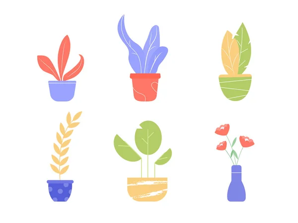 Conjunto de diferentes flores e plantas em vasos . — Vetor de Stock