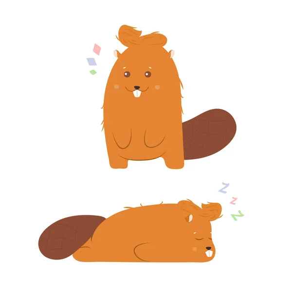 Cute character beaver — ストックベクタ