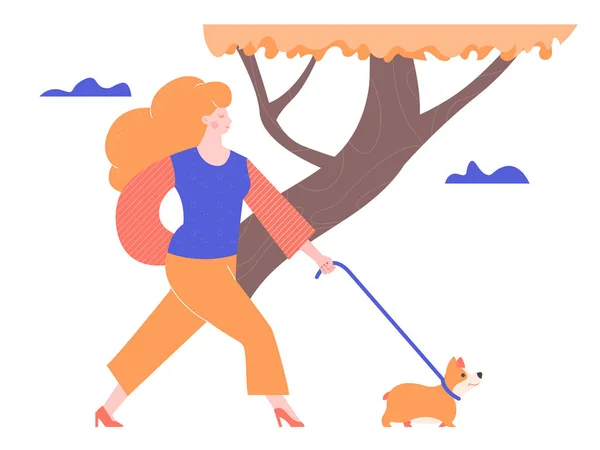 The girl leads a cute welsh corgi puppy on a leash — Stok Vektör