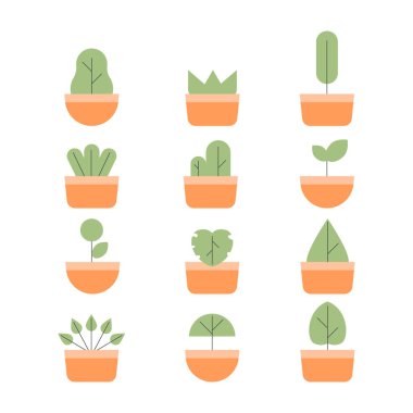 Minimalist saksı bitkileri..