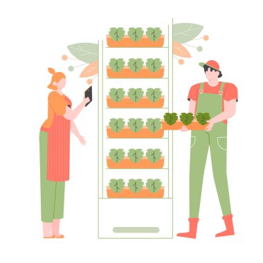 Kapalı alanda dikey tarım.