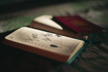 Pasaportla birlikte planlanan seyahatin günlüğü, karantina aşamasında, seyahatlerin askıya alınması, günlüğün Haziran sayfasındaki