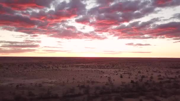 Antenne, wolkenverhangener lila Sonnenuntergang über trockener australischer Wüstenlandschaft im Outback — Stockvideo