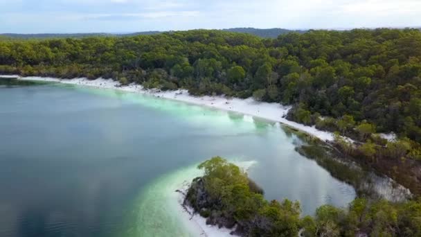 Plage de sable blanc immaculé et lac d'eau douce entourés d'une forêt dense et verte — Video