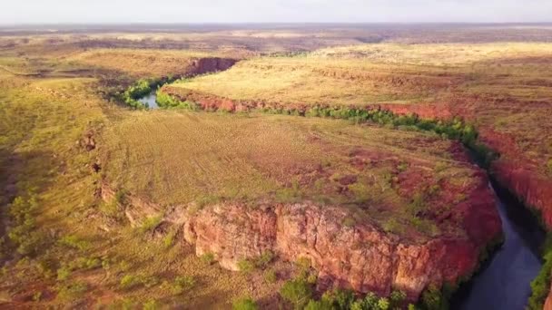 Aerial of river winding through deep red rock gorge in arid Australian outback — Stok video