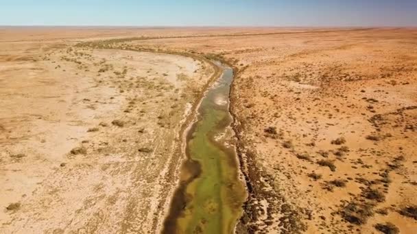 Aérien d'une rivière alimentée par le printemps serpentant dans un désert australien isolé et aride — Video