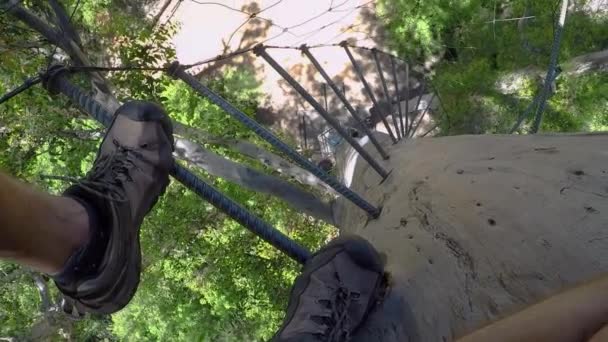 POV looks down past feet from high up on steel spike ladder in side of huge tree — Stock Video