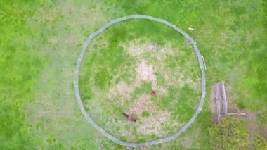 Top down aerial, horse trainer training horse in grassy round pen