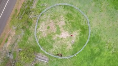 Rotating aerial of circular horse pen, horse walks around perimeter of pen