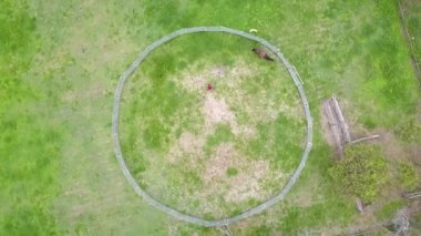 Top down aerial, horse runs around inside circular pen, frame slowly rotating