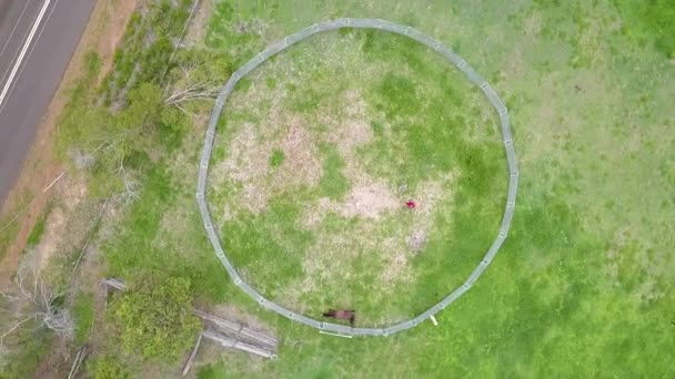 Rotating aerial of circular horse pen, horse walks around perimeter of pen — 비디오