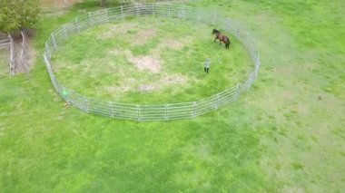 Aerial of woman training single horse in round pen, POI wide shot