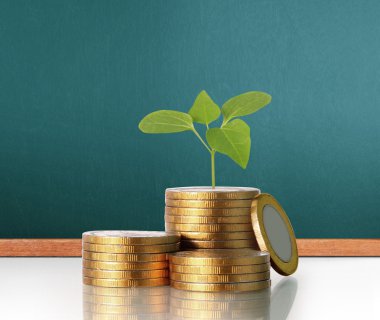  Madeni paralar borsa grafiği