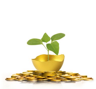 izole altın Paskalya yortusu yumurta