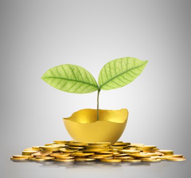 izole altın Paskalya yortusu yumurta