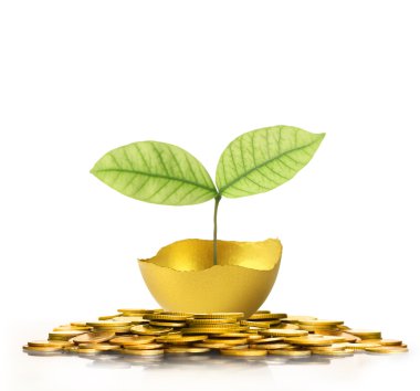 izole altın Paskalya yortusu yumurta