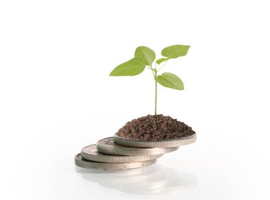 Madeni paralar borsa grafiği