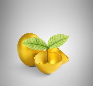 izole altın Paskalya yortusu yumurta