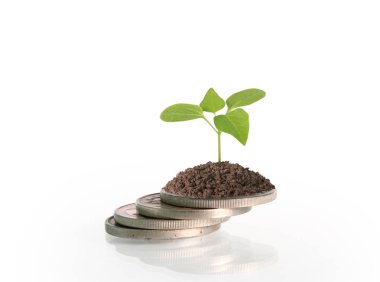 Madeni paralar borsa grafiği