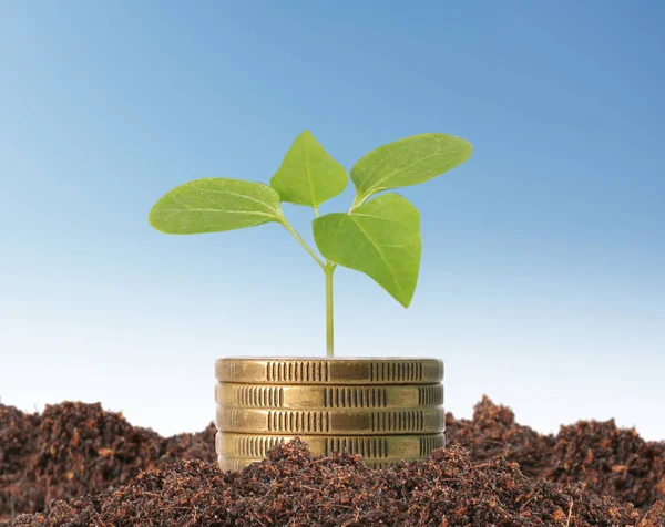 Monedas gráfico mercado de valores — Foto de Stock